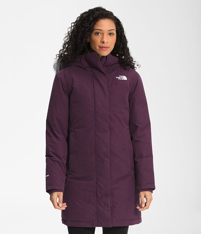 The North Face Parka Dames Arctic QBNZ56120 - Paars